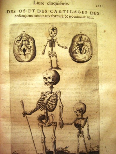 Oeuvres de Me André Du Laurens,Michel Soly, 1639