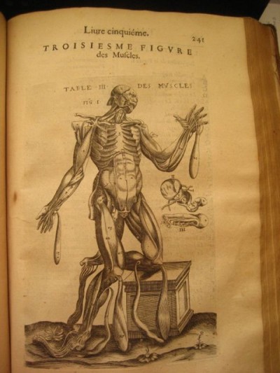  figures anatomiques (gravures sur cuivre) E251-RES